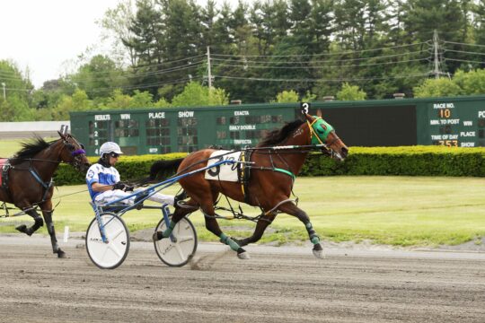 Horse Racing NJ Tarck