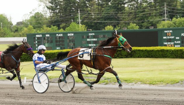 Horse Racing NJ Tarck
