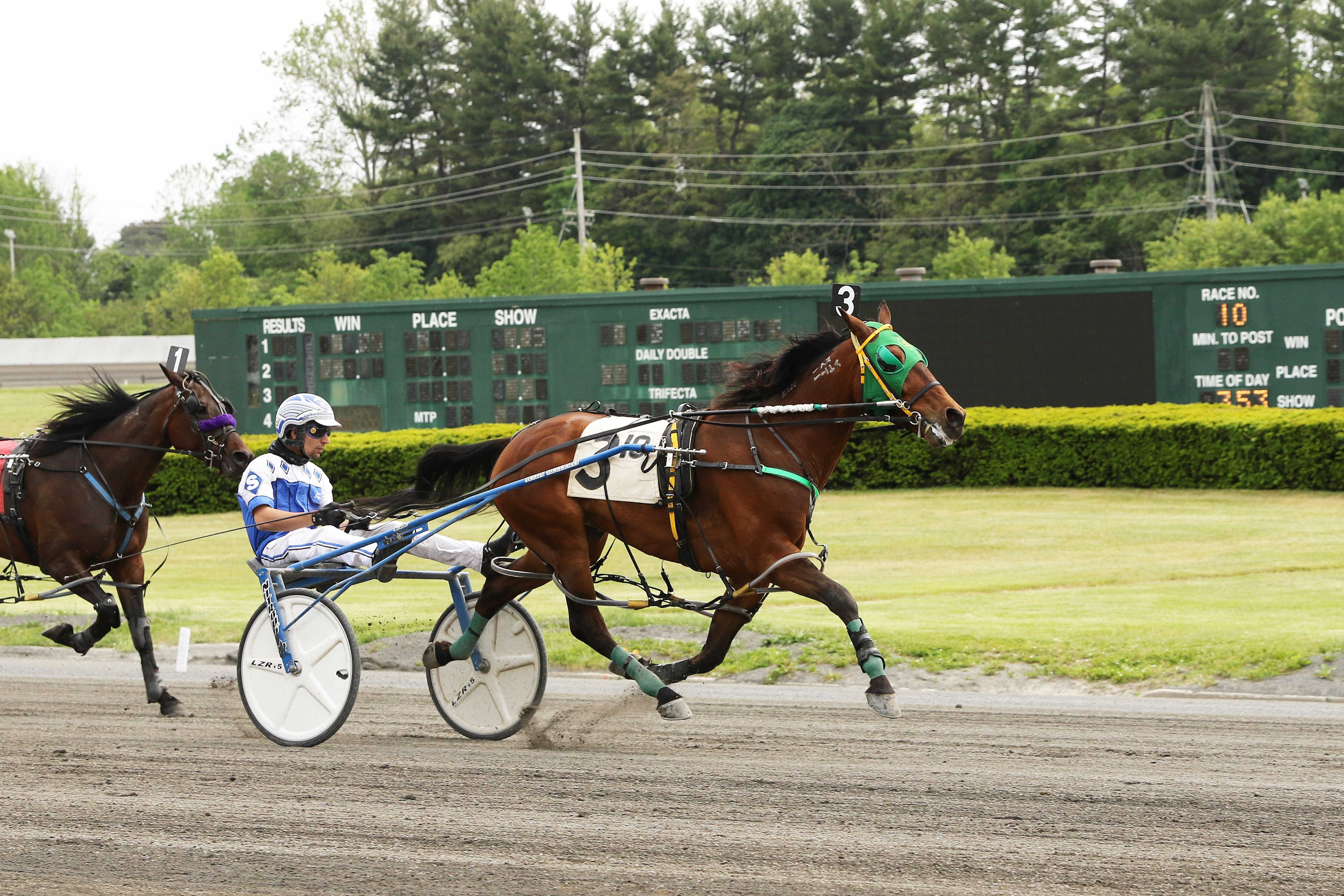 Horse Racing NJ Tarck