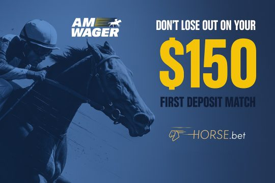 horse betting promo